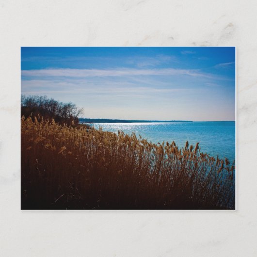 ジョープールレイクはがき ポストカード (正面)