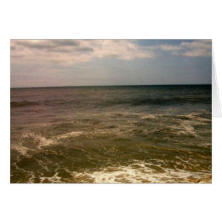 ジョーンズのビーチのoceanview