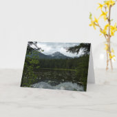 ジョーンズレイクIIアットグレイシャナショナルパーク カード (黄色い花)