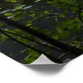 ジョーンズレイクIIアットグレイシャナショナルパーク ポスター (角)