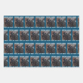 ジョー・バイデン氏 ラッピングペーパーシート (正面3)