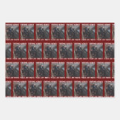 ジョー・バイデン氏 ラッピングペーパーシート (正面2)