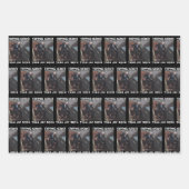 ジョー・バイデン氏 ラッピングペーパーシート (正面)