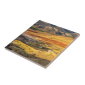 ジョ色彩の鮮やかン·デイの丘3 タイル (側面)