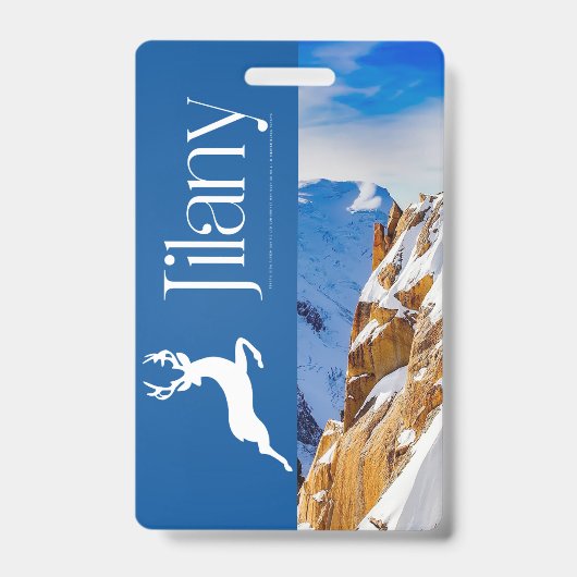 ジラニー バッジ (表面)