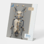 ジラニー 台座サイン (正面)