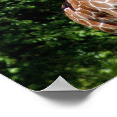 ジラフェスハグ ポスター (角)