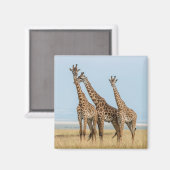 ジラフェス3体のポーズ マグネット (正面/裏面)