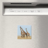 ジラフェス3体のポーズ マグネット (インサイチュ (食洗機))