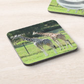 ジラフェス コースター (左側)