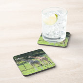 ジラフェス コースター (右側)