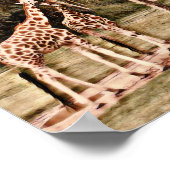 ジラフェス ポスター (角)