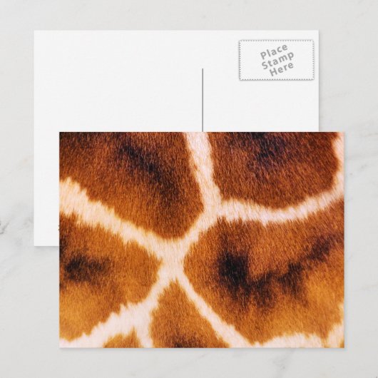 ジラフェス ポストカード (正面/裏面)