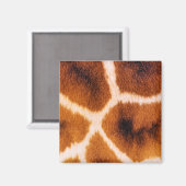 ジラフェス マグネット (正面/裏面)