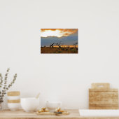 ジラフェズールニアラゲームリザーブ南アフリカ ポスター (キッチン)