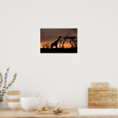 ジラフェズールニアラゲームリザーブ南アフリカ ポスター (キッチン)