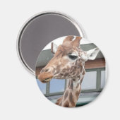 ジラフ マグネット (正面/裏面)