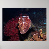 ジリスのイカ ポスター (正面)