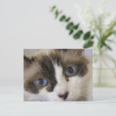 ジリー#2 ポストカード (スタンド正面)