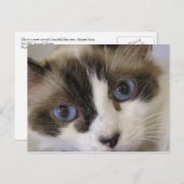 ジリー#2 ポストカード (正面/裏面)