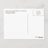 ジリー#2 ポストカード (裏面)