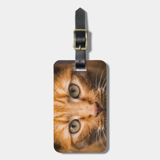 ジロジッカスタムク猫ラゲージタグ ラゲッジタグ (正面縦)