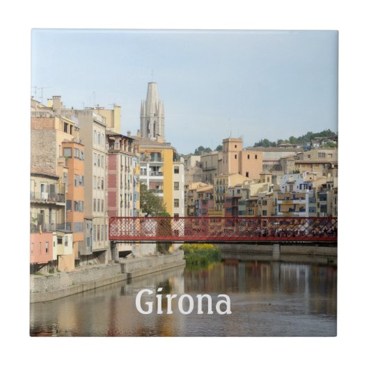 ジローナ(Gerona)のタイル タイル (正面)