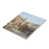 ジローナ(Gerona)のタイル タイル (側面)