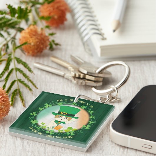 ジンガすてきー虎猫アイルランド応援 キーホルダー (正面右)