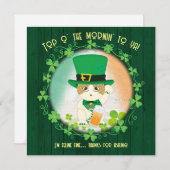 ジンガすてきー虎猫アイルランド応援 サンキューカード (正面/裏面)