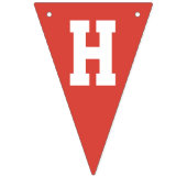 ジンガムフカラフルァームバーンハッピーバースデー バンティングフラッグ (第2の旗)