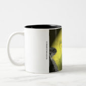 ジンクス・マグ ツートーンマグカップ (左)