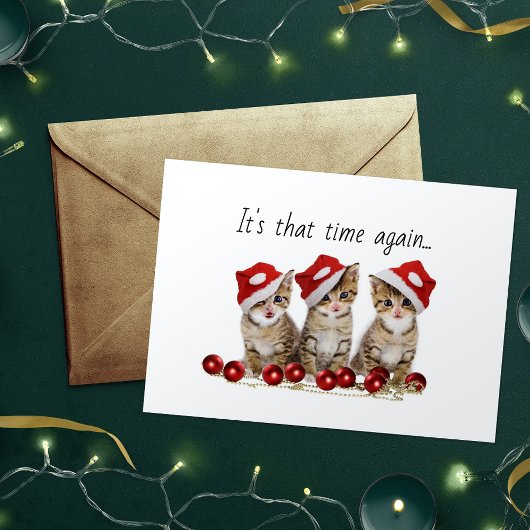 ジングルキャッツ メオウィークリスマス シーズンカード