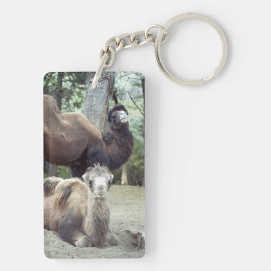 ジングル馬場とプルニママ キーホルダー (裏面)