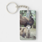 ジングル馬場とプルニママ キーホルダー (正面)