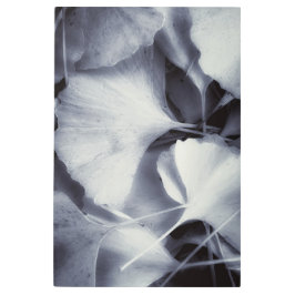 ジンコ葉 メタルプリント