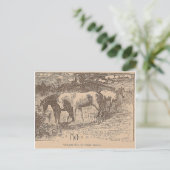 ジンジャーがこんなことを言った ポストカード (スタンド正面)