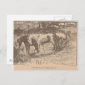 ジンジャーがこんなことを言った ポストカード (正面/裏面)