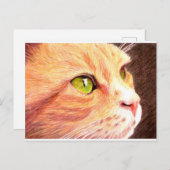 ジンジャーの猫のポストカード ポストカード (正面/裏面)