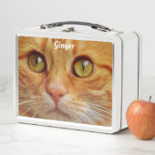 ジンジャーの猫 メタルランチボックス (インサイチュ)