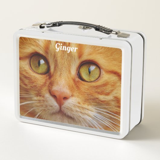 ジンジャーの猫 メタルランチボックス (裏面)