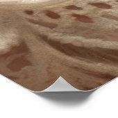 ジンジャーキッテン眠る(みすぼらしいシック) ポスター (角)