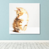 ジンジャーキットン キャンバスプリント (インサイチュ (ウッドフロア))