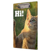 ジンジャーキャットことわざこんにちは！ クリップボード (左)