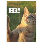 ジンジャーキャットことわざこんにちは！ クリップボード (裏面)