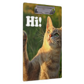 ジンジャーキャットことわざこんにちは！ クリップボード (右)