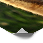 ジンジャーキャットことわざこんにちは! ポスター (角)