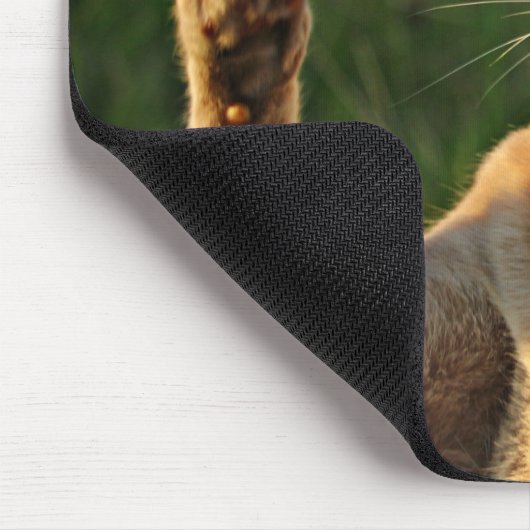 ジンジャーキャットことわざこんにちは! マウスパッド (コーナー)