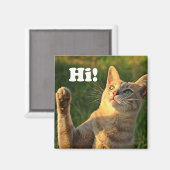 ジンジャーキャットことわざこんにちは! マグネット (正面/裏面)