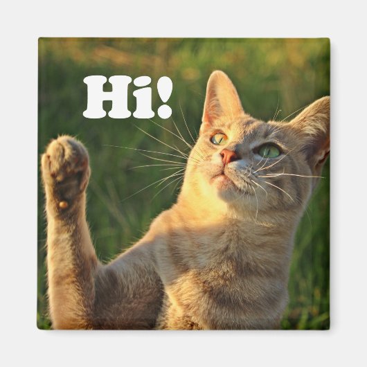 ジンジャーキャットことわざこんにちは! マグネット (正面)